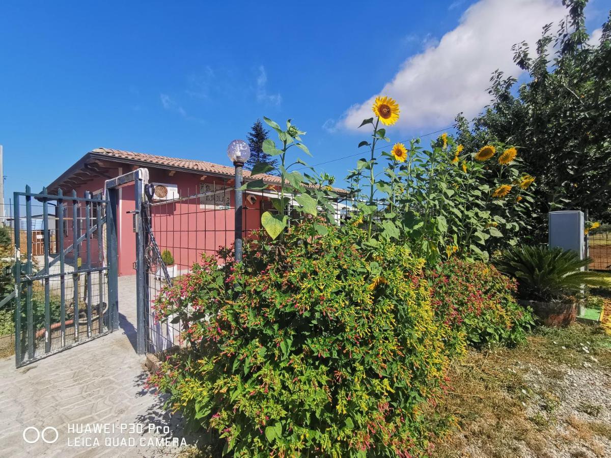 Bed And Breakfast "Anna" Bagnara Calabra Exterior foto